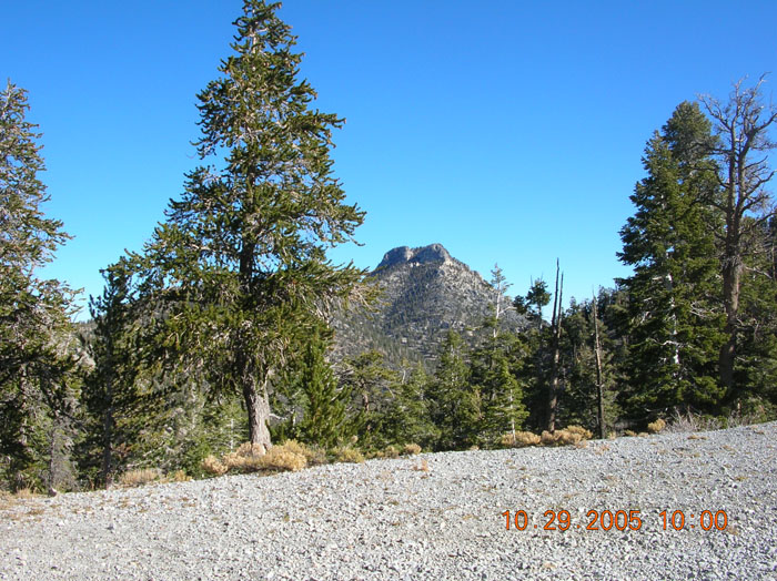 DSCN1095