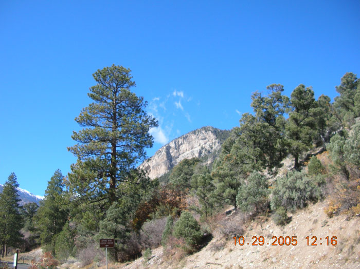 DSCN1112