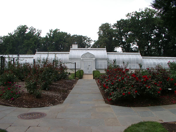 IMGP0424
