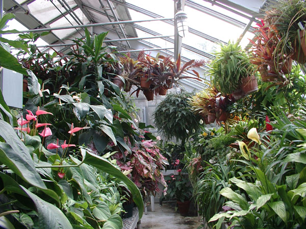 IMGP0427