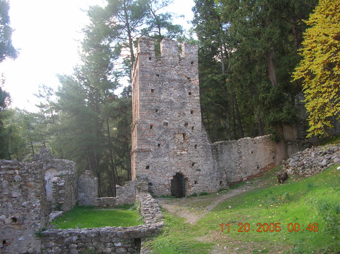 DSCN1487