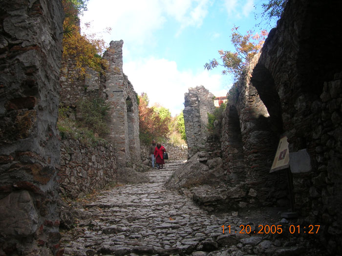 DSCN1503