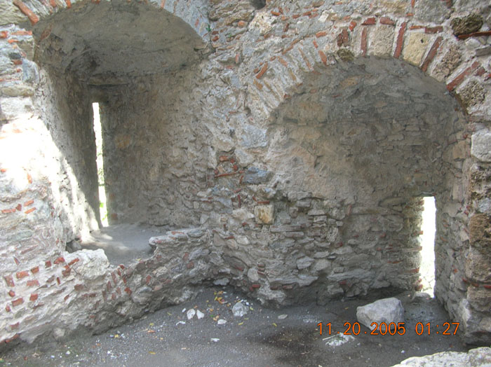 DSCN1504