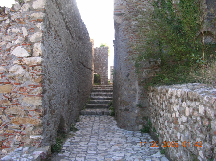 DSCN1521
