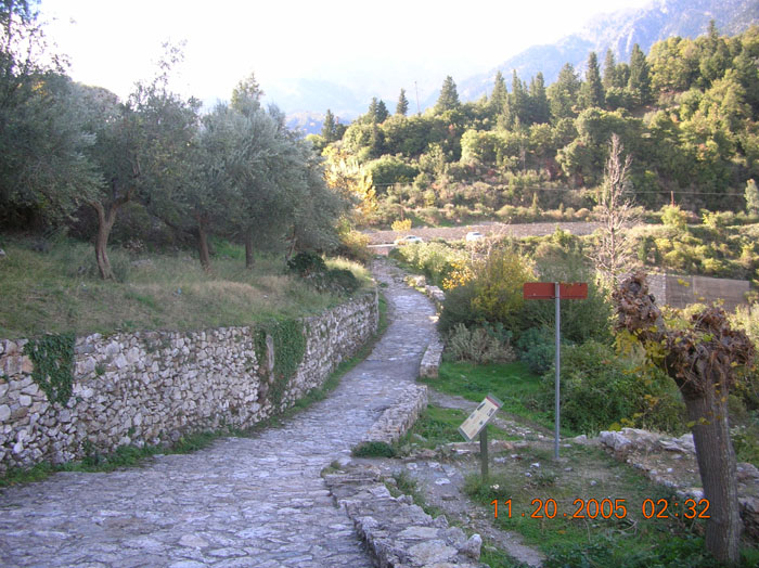 DSCN1572