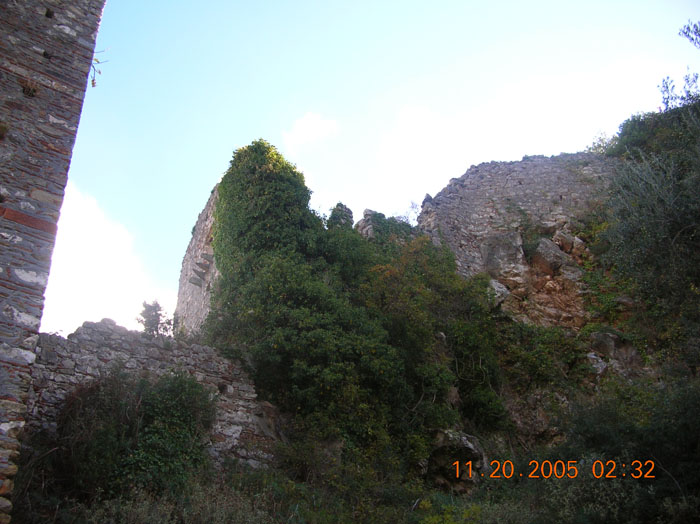DSCN1573