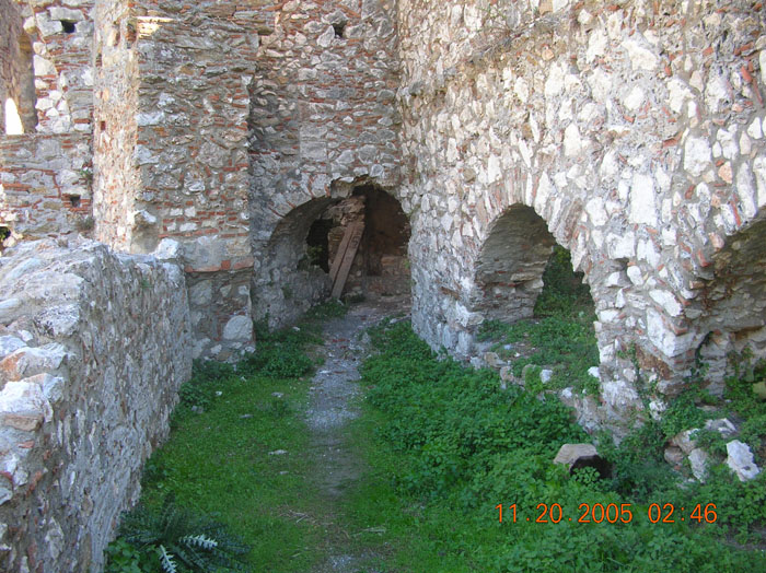 DSCN1597