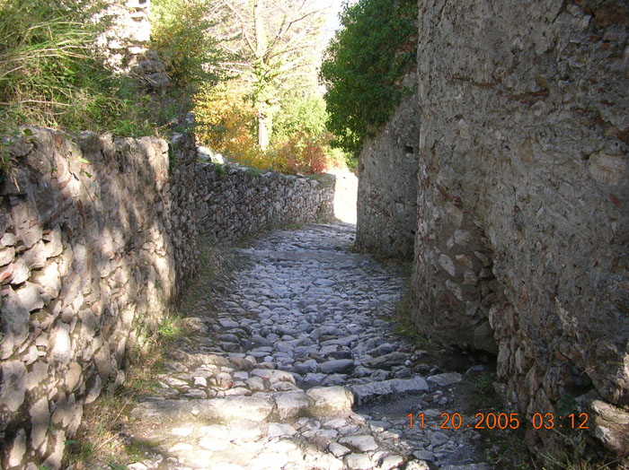 DSCN1621