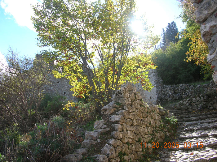 DSCN1628