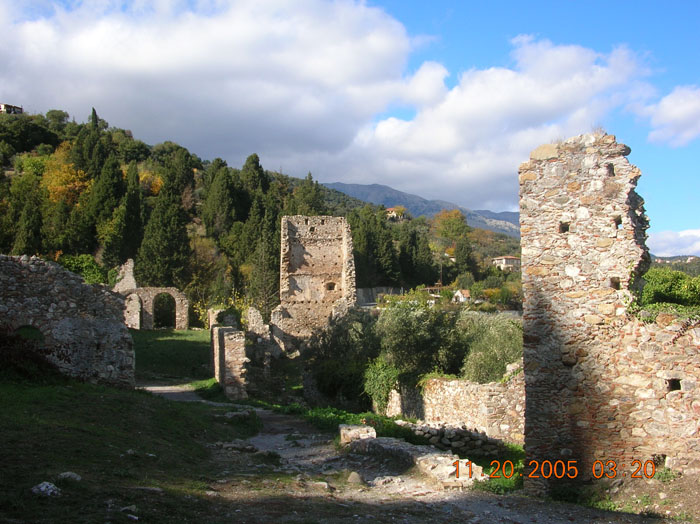 DSCN1631