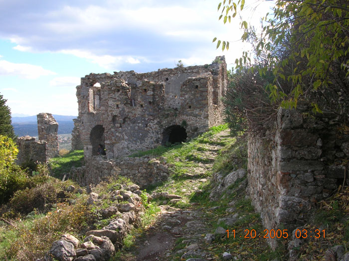 DSCN1646