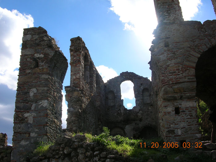 DSCN1649