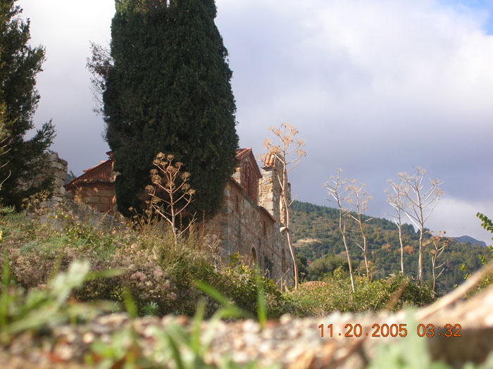 DSCN1650