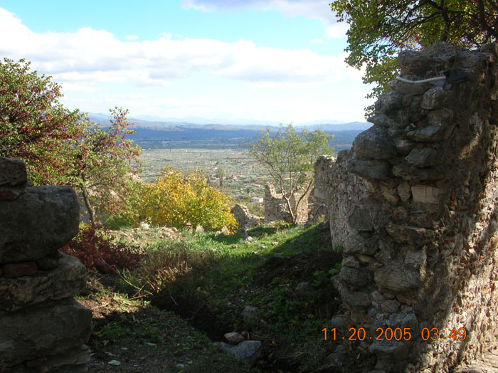 DSCN1667