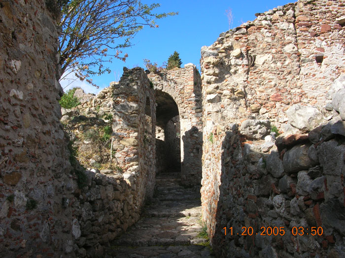 DSCN1671