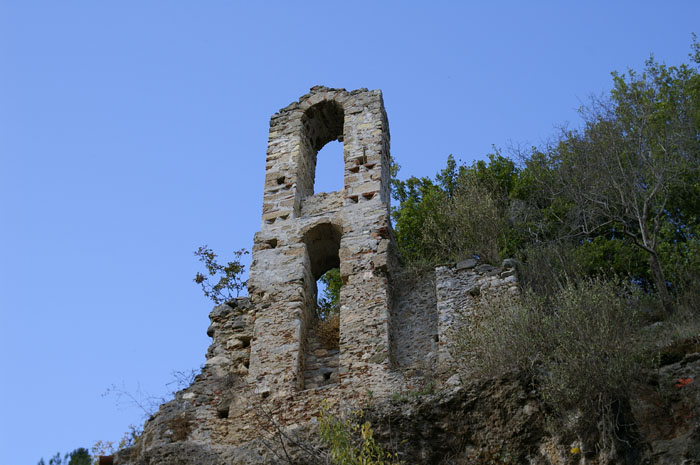 _IGP1249