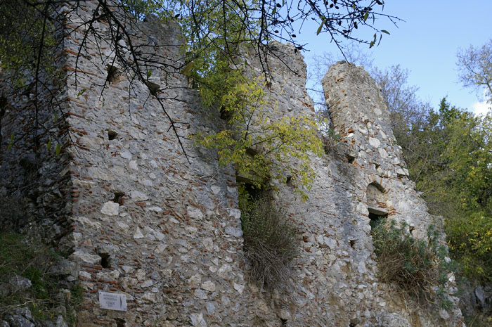 _IGP1252