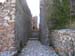 DSCN1521