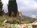 DSCN1650