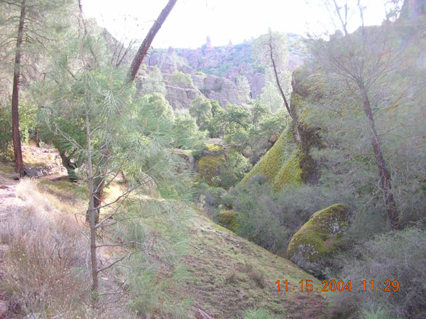DSCN0417