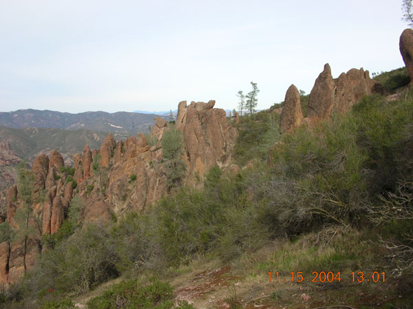 DSCN0439