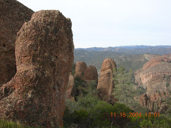 DSCN0441