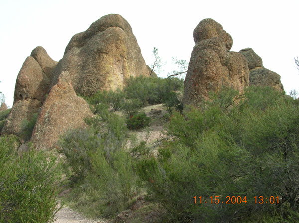 DSCN0443