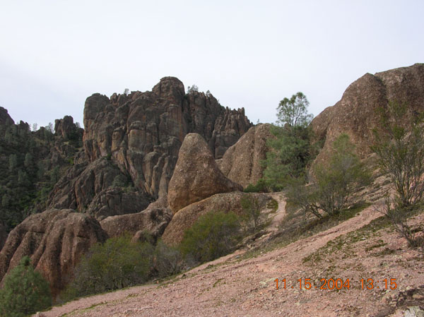 DSCN0444