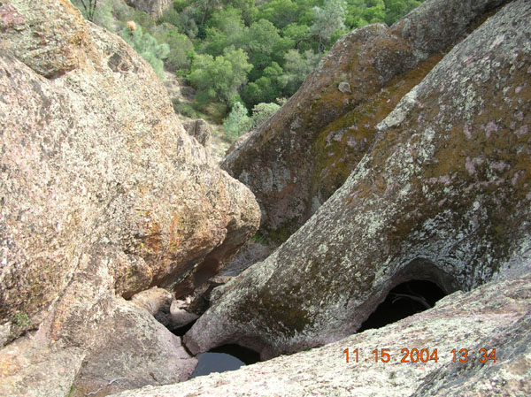 DSCN0449