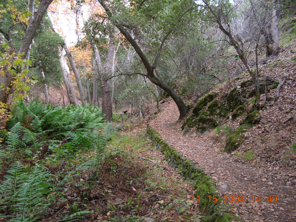 DSCN0457