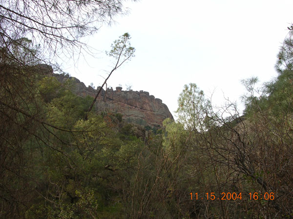 DSCN0462