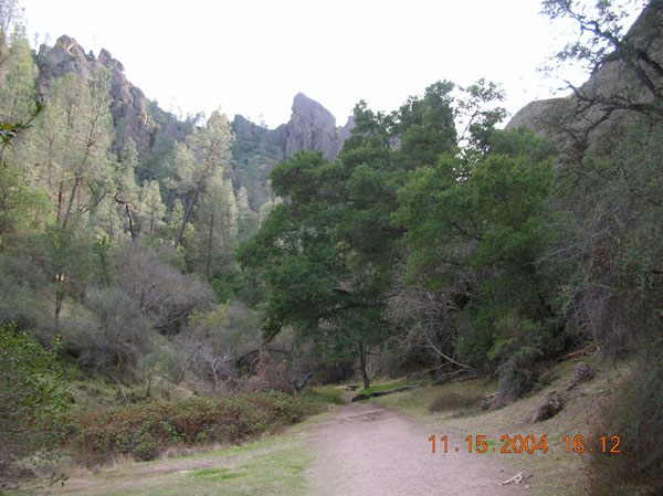 DSCN0463