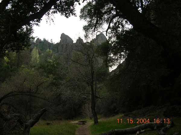 DSCN0464