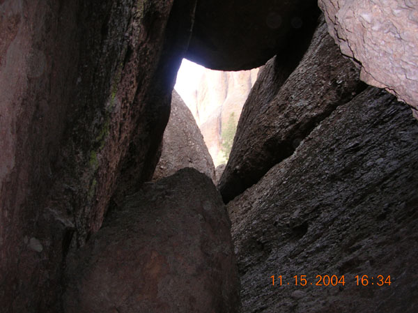 DSCN0471