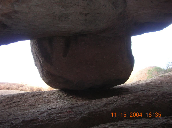 DSCN0474