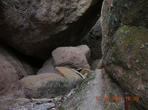 DSCN0479