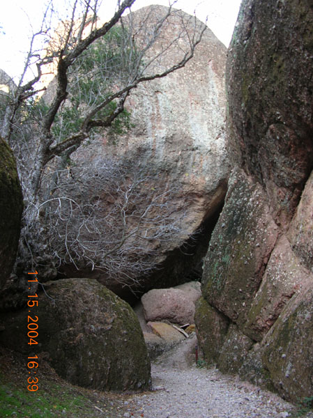 DSCN0481