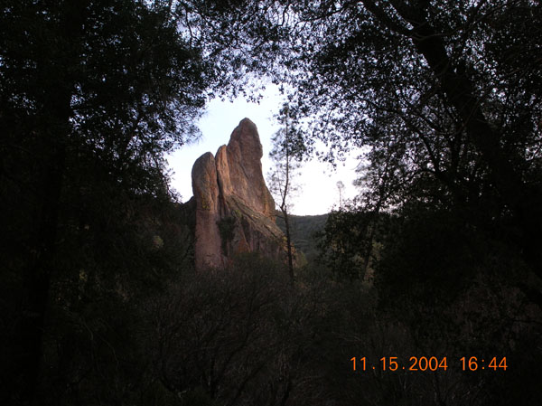 DSCN0484
