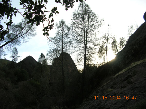 DSCN0486