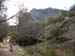 DSCN0460