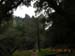DSCN0464