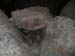 DSCN0467