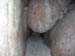 DSCN0470