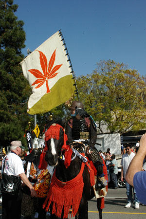 IMGP0237
