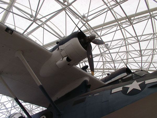 IMGP0264