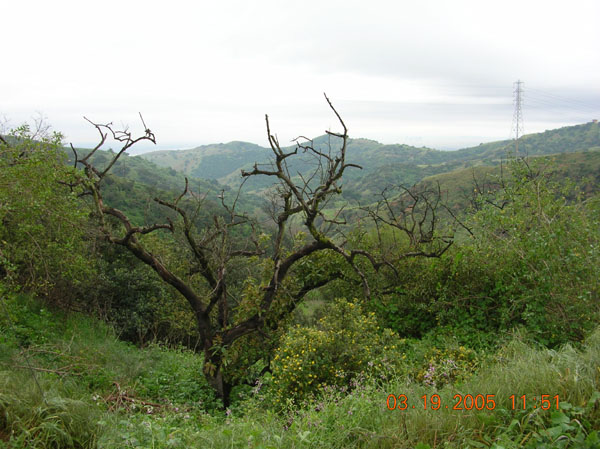 DSCN0799