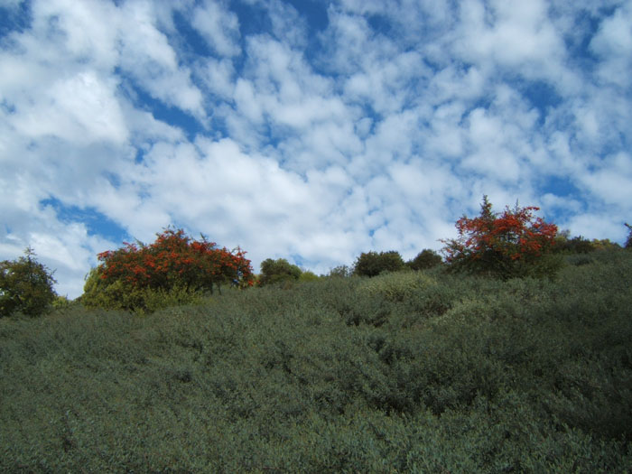 DSCF0112