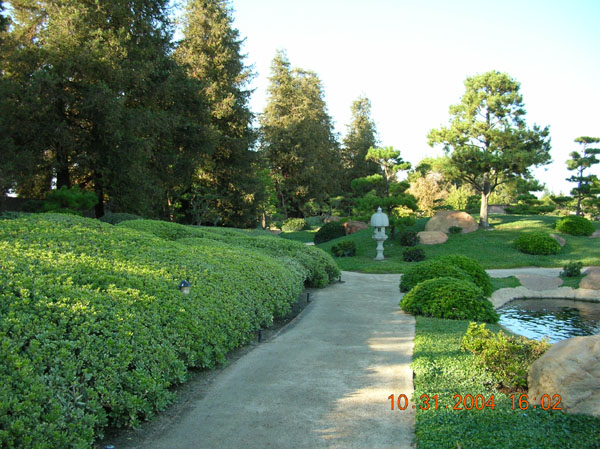DSCN0243